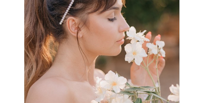 Pirámide Olfativa | Notas | Familias | Todo sobre perfumes